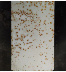 Ϳ���÷��W�P������Щ�N�����οƌWʹ���� Ϳ���ھ�,coatingol.com